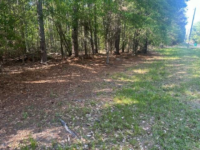 Lavinghouse-parcel C Road Bush, LA 70431 - Photo 8 of 8 Gallery Image 8