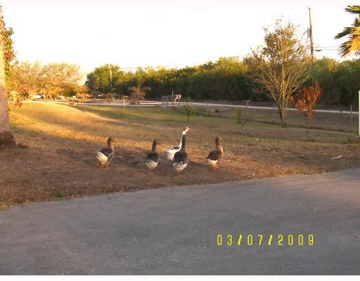 17925 38th Road North Loxahatchee, FL 33470 - Photo 3 of 11 Additional Photo