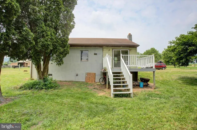 a view of a house with a big yard and a large tree