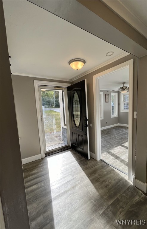 4833 Freeman Road Orchard Park, NY 14127 - Photo 4 of 34 Front entrance