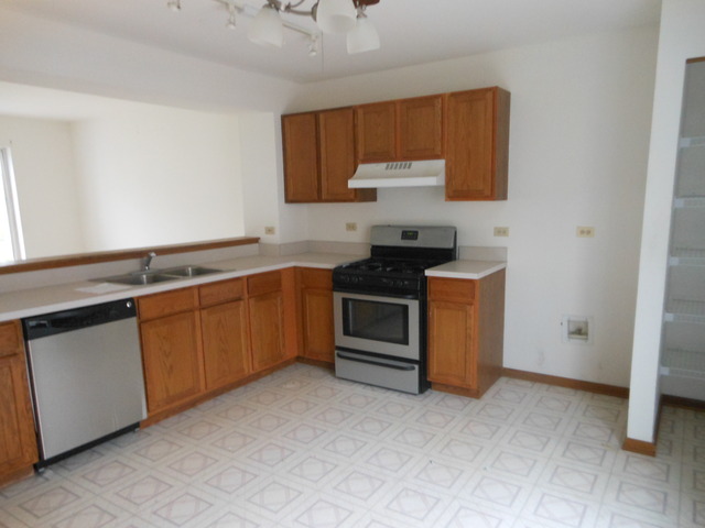 47 South Treehouse Lane Round Lake, IL 60073 - Photo 4 of 6
