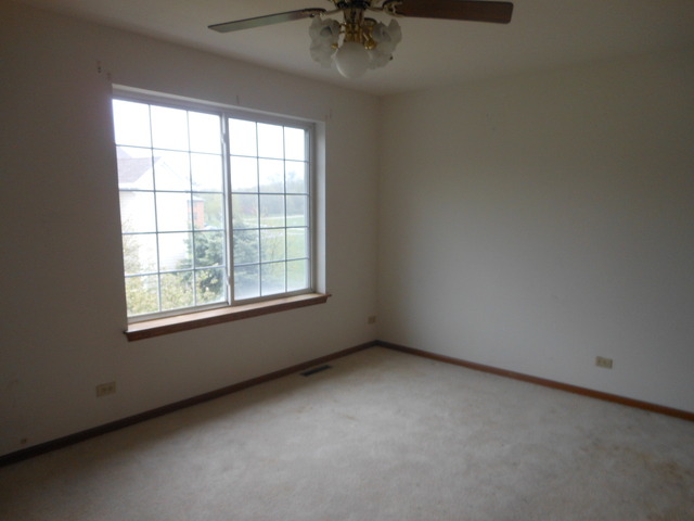 47 South Treehouse Lane Round Lake, IL 60073 - Photo 5 of 6