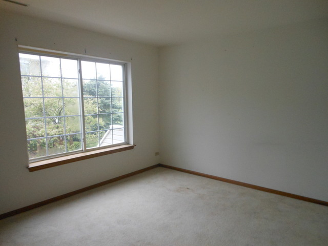 47 South Treehouse Lane Round Lake, IL 60073 - Photo 6 of 6