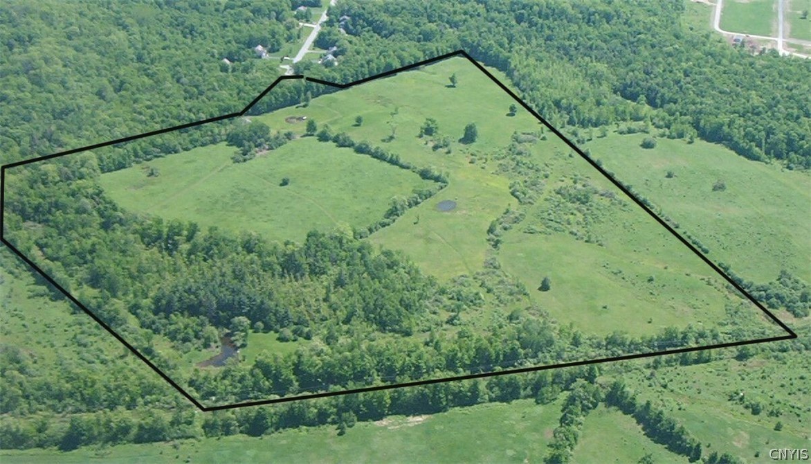 Homestead Road Clinton, NY 13323 - Photo 4 of 17 Lot #1 AND 34.1 57+- Acres total