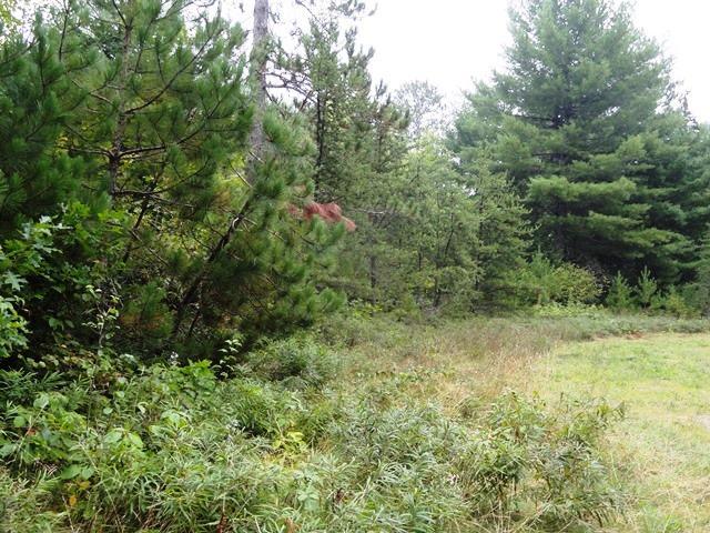 Lot 5 Elto Road Tomahawk, WI 54487 - Photo 1 of 5 Gallery Image 1