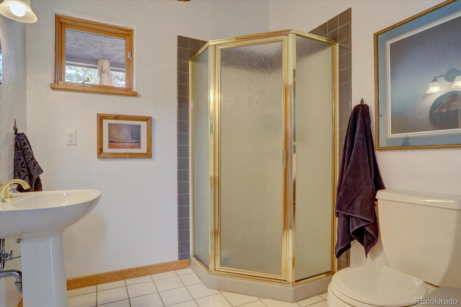 12227 Calfee Gulch Road Conifer, CO 80433 - Photo 30 of 43 a bathroom with a shower a toilet and a sink