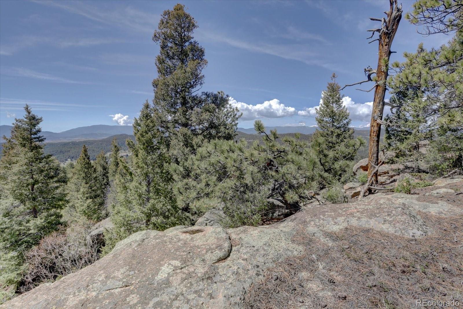 12227 Calfee Gulch Road Conifer, CO 80433 - Photo 38 of 43 a view of a houses of a yard