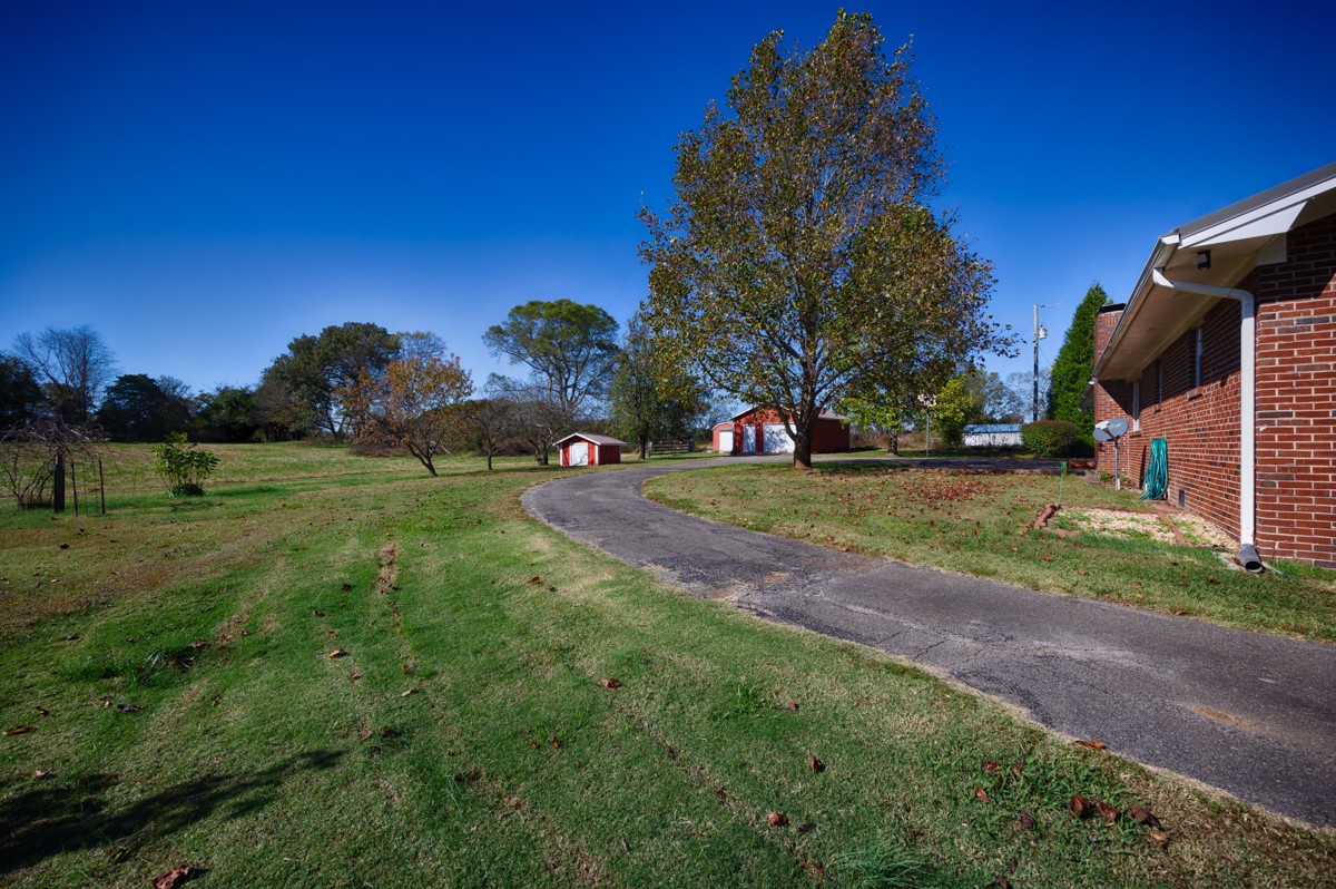 40 Blanche Road Taft, TN 38488 - Photo 26 of 38 a view of a field of grass and trees