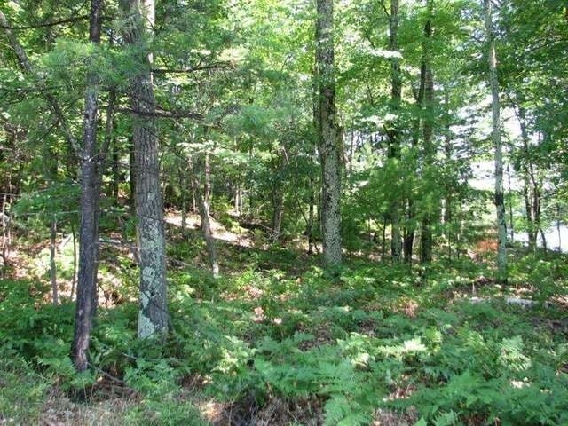 Lot 44 Doolittle Road Minocqua, WI 54548 - Photo 5 of 20 Gallery Image 5