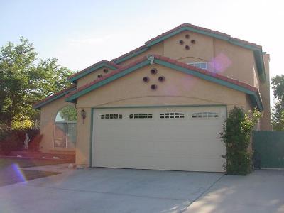 43801 Silver Bow Road Lancaster, CA 93535 - Photo 1 of 11 Primary Photo