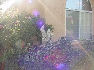 43801 Silver Bow Road Lancaster, CA 93535 - Photo 11 of 11 Additional Photo