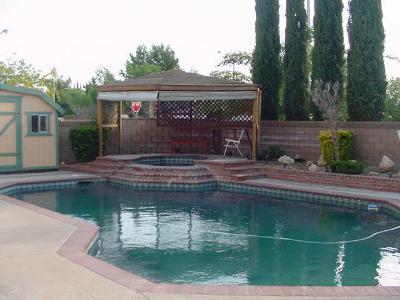 43801 Silver Bow Road Lancaster, CA 93535 - Photo 5 of 11 Additional Photo