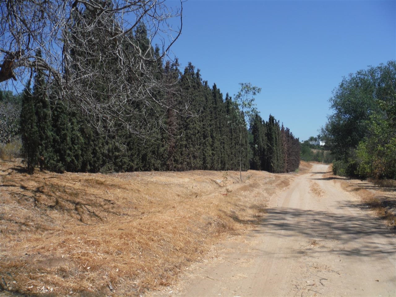V-lot Via Del Robles Fallbrook, CA 92028 - Photo 11 of 12