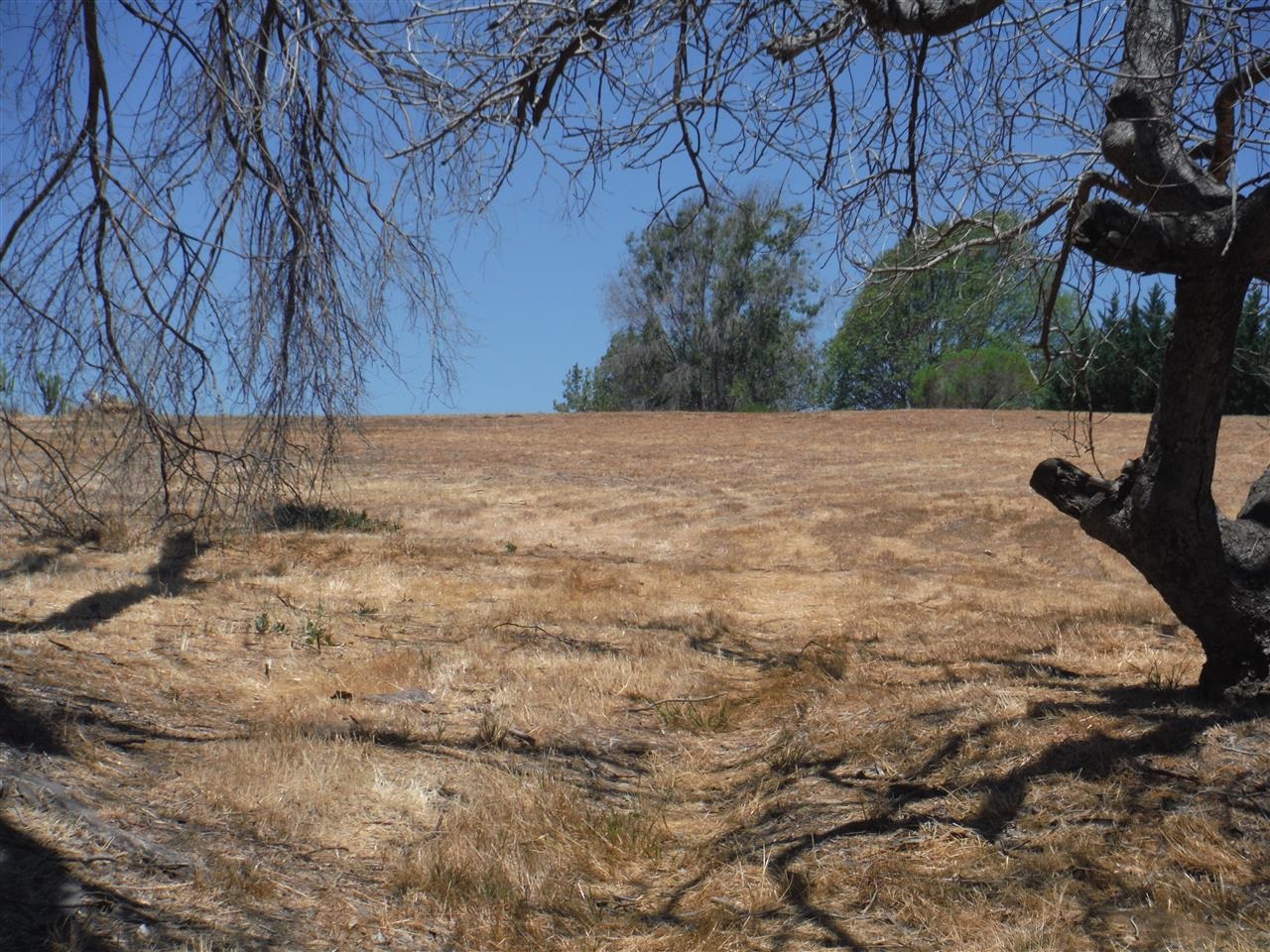 V-lot Via Del Robles Fallbrook, CA 92028 - Photo 12 of 12
