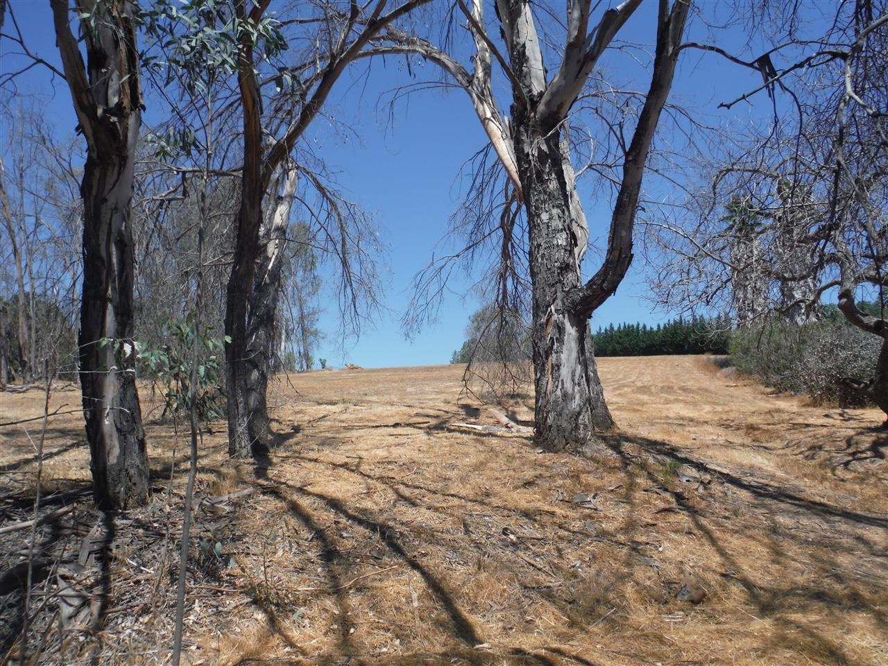 V-lot Via Del Robles Fallbrook, CA 92028 - Photo 3 of 12
