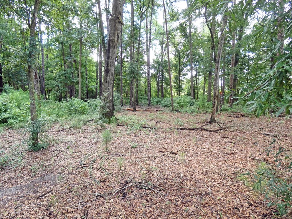 0 Woods Road Headland, AL 36345 - Photo 3 of 4