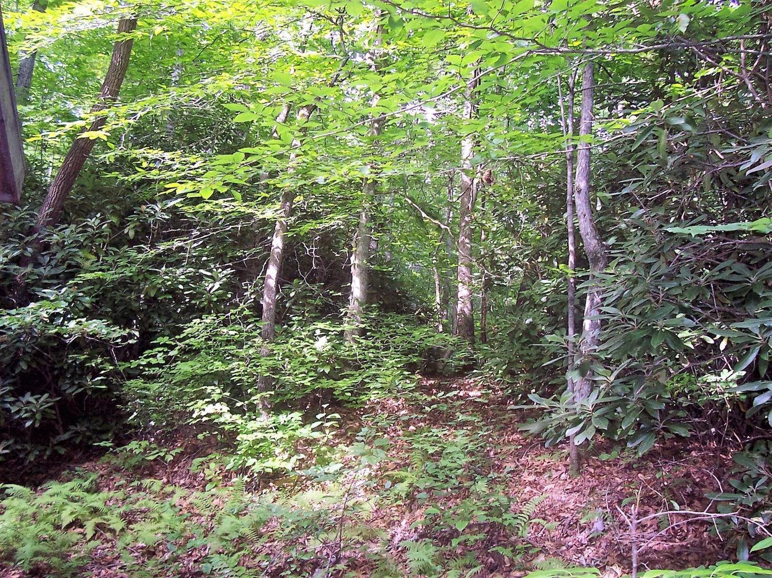 4236 Beech Timber Road Beattyville, KY 41311 - Photo 62 of 76 Photo 62