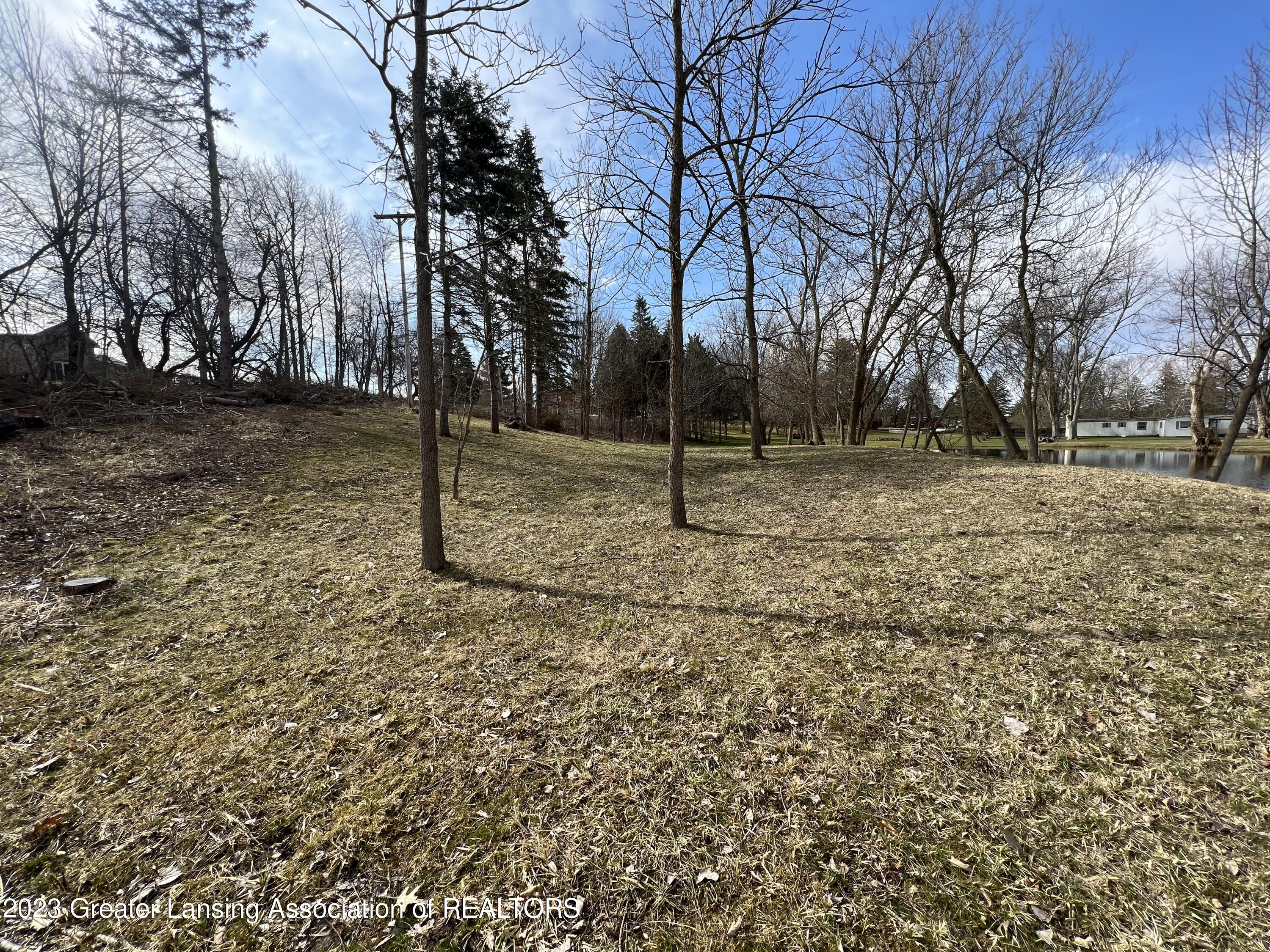 0 Clintonia Road Portland, MI 48875 - Photo 8 of 19 IMG_8118