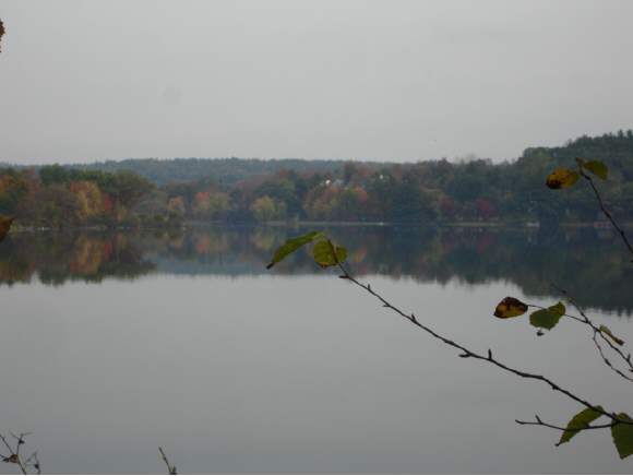 15 Halfmoon Pond Road Grafton, NH 03240 - Photo 1 of 1 Gallery Image 1