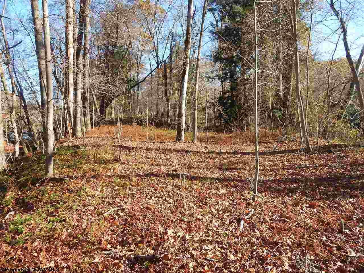 0 Poplar Island Road Clarksburg, WV 26301 - Photo 2 of 17 Gallery Image 2