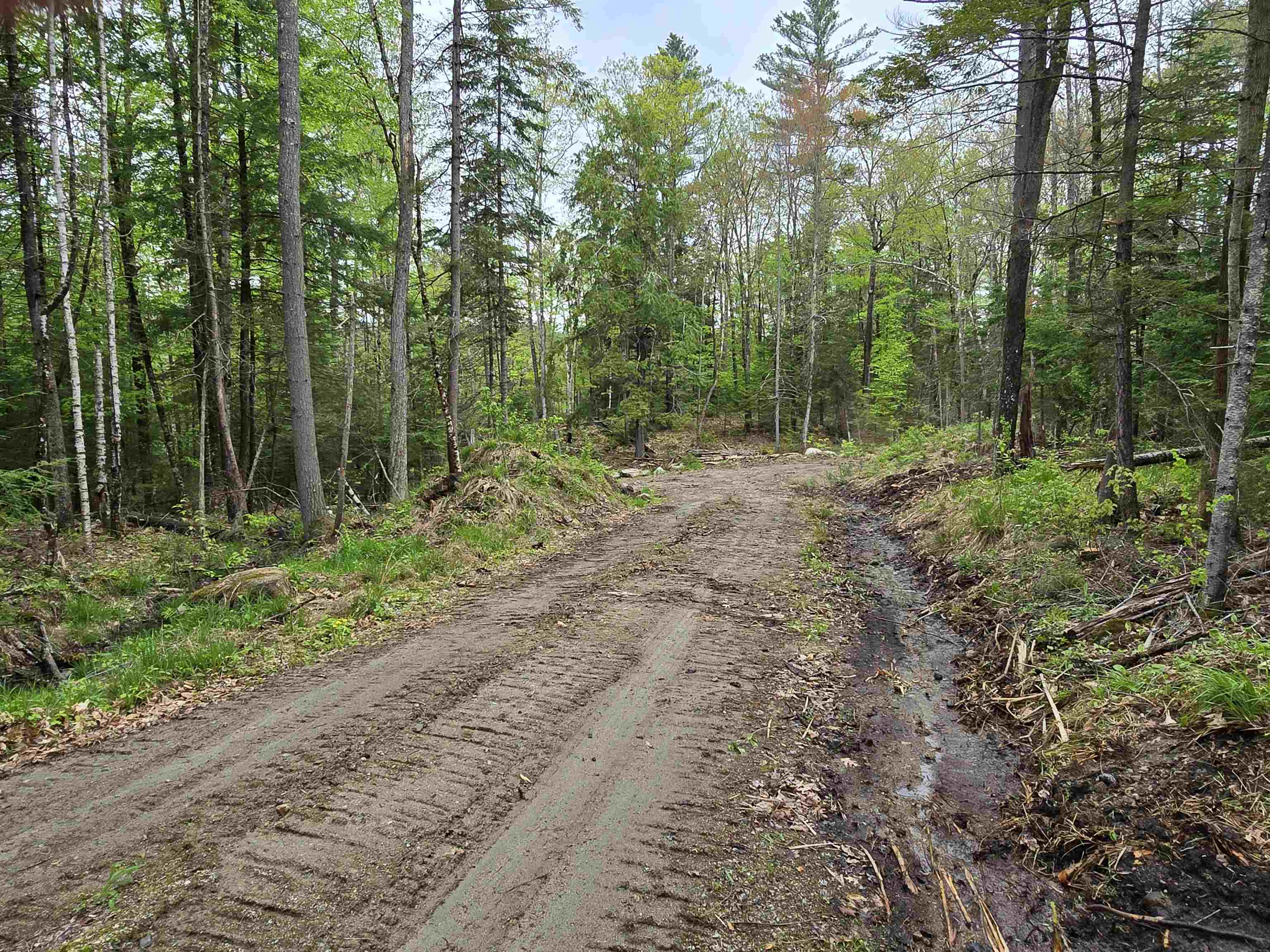 Tbd Stocker Pond Road, Unit 23643 Grantham, NH 03753 - Photo 13 of 14