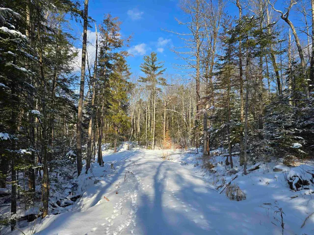 $529,000 | Tbd Stocker Pond Road, Unit 23643, Grantham, NH 03753