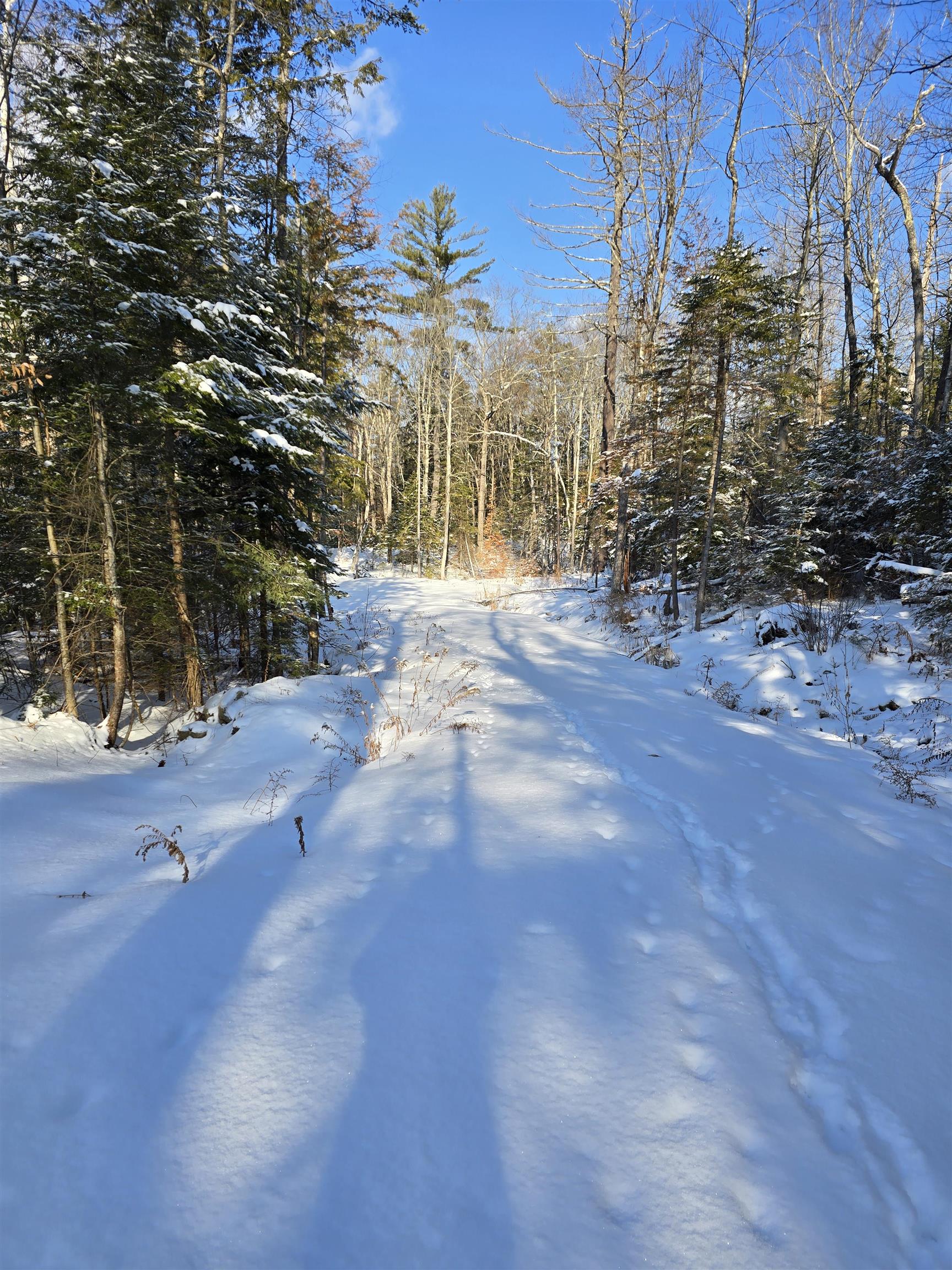 Tbd Stocker Pond Road, Unit 23643 Grantham, NH 03753 - Photo 7 of 14