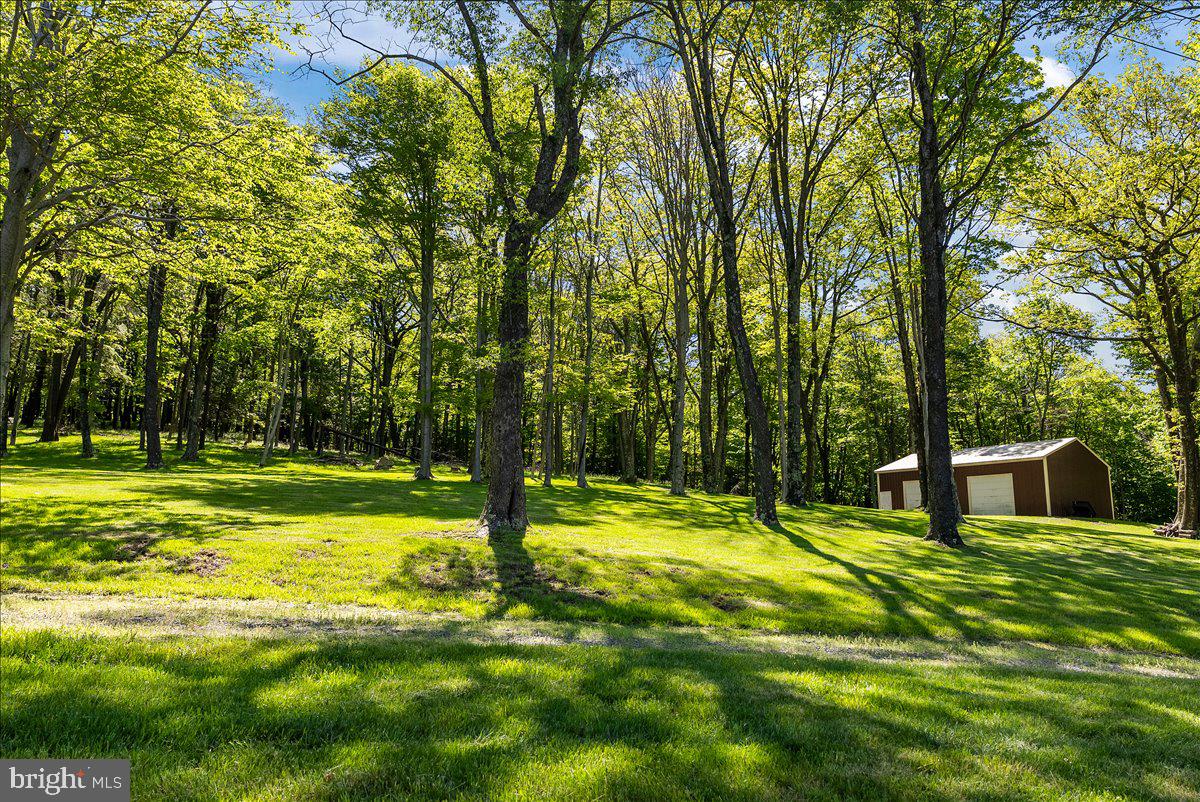 663 Bear Woods Road Mount Storm, WV 26739 - Photo 55 of 73 Serene woodland retreat with a shed.