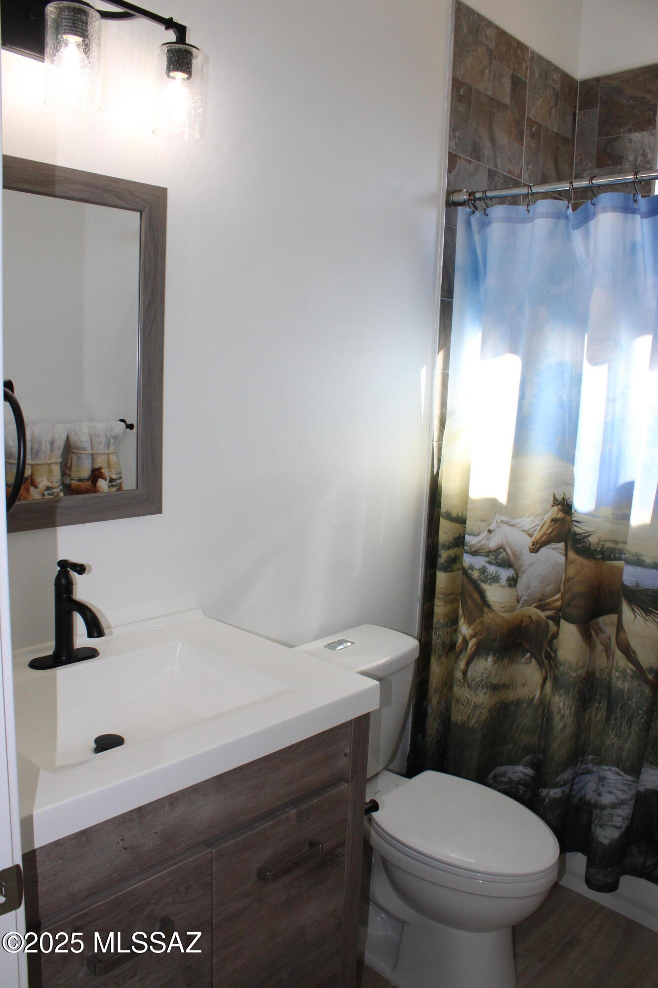 695 Calle Lukas Rio Rico, AZ 85648 - Photo 36 of 47 Hall Bath