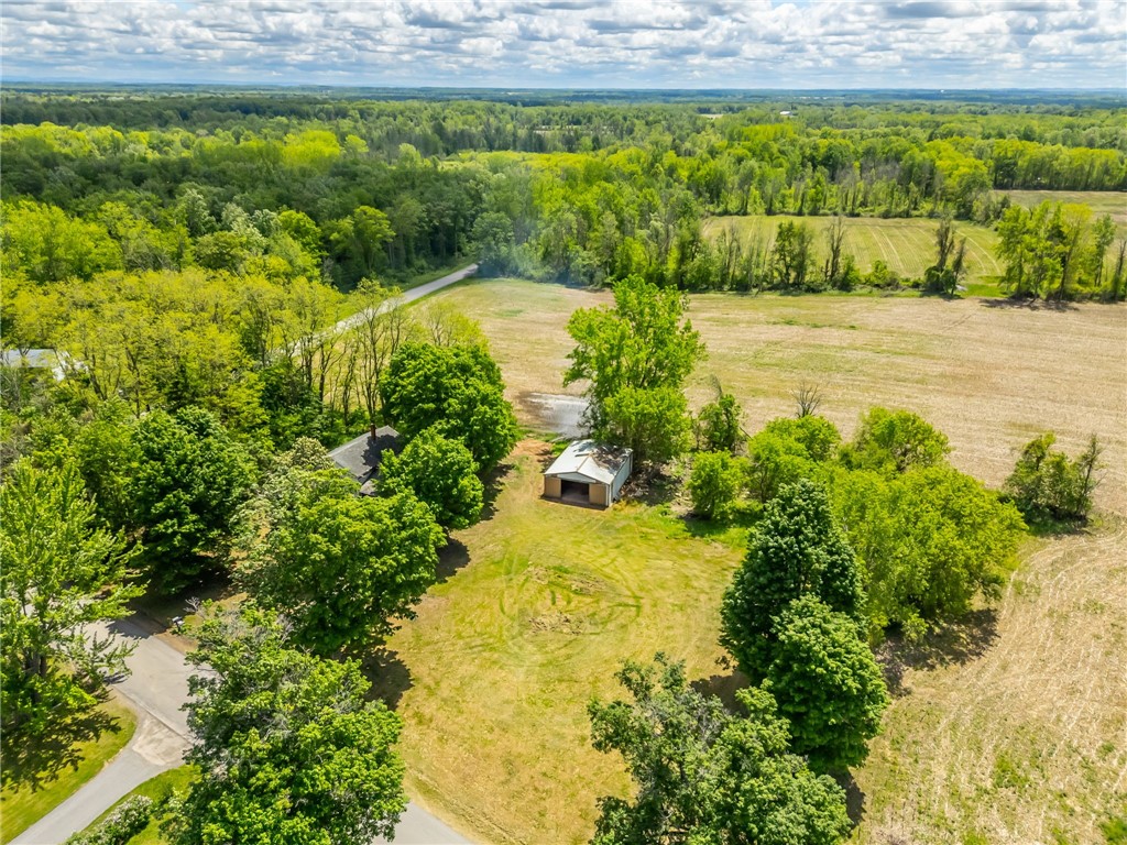 17156 Ladue Road Clarendon, NY 14470 - Photo 5 of 41