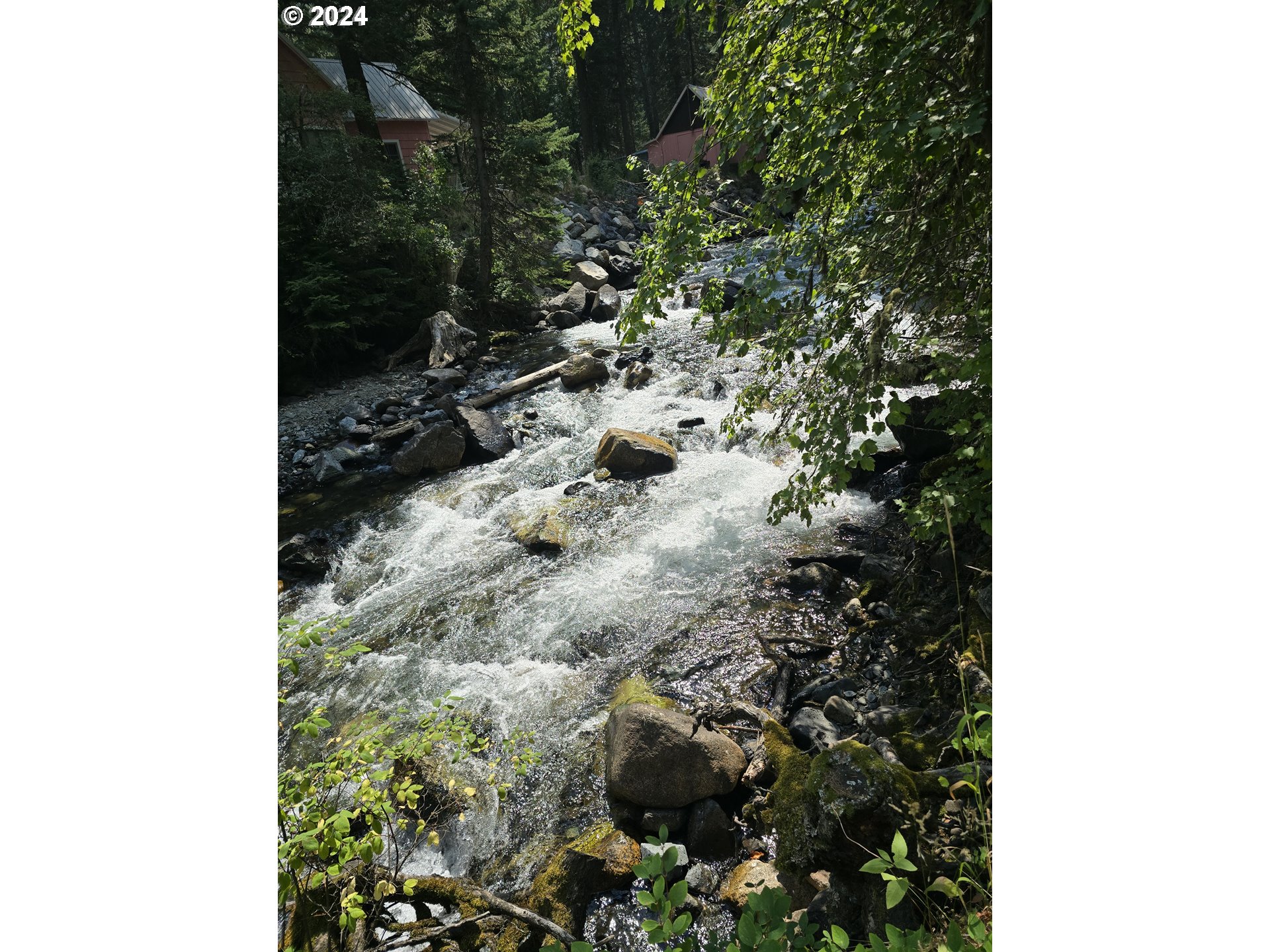 59975 Pollock Road Joseph, OR 97846 - Photo 20 of 34 a picture of a tree in a forest