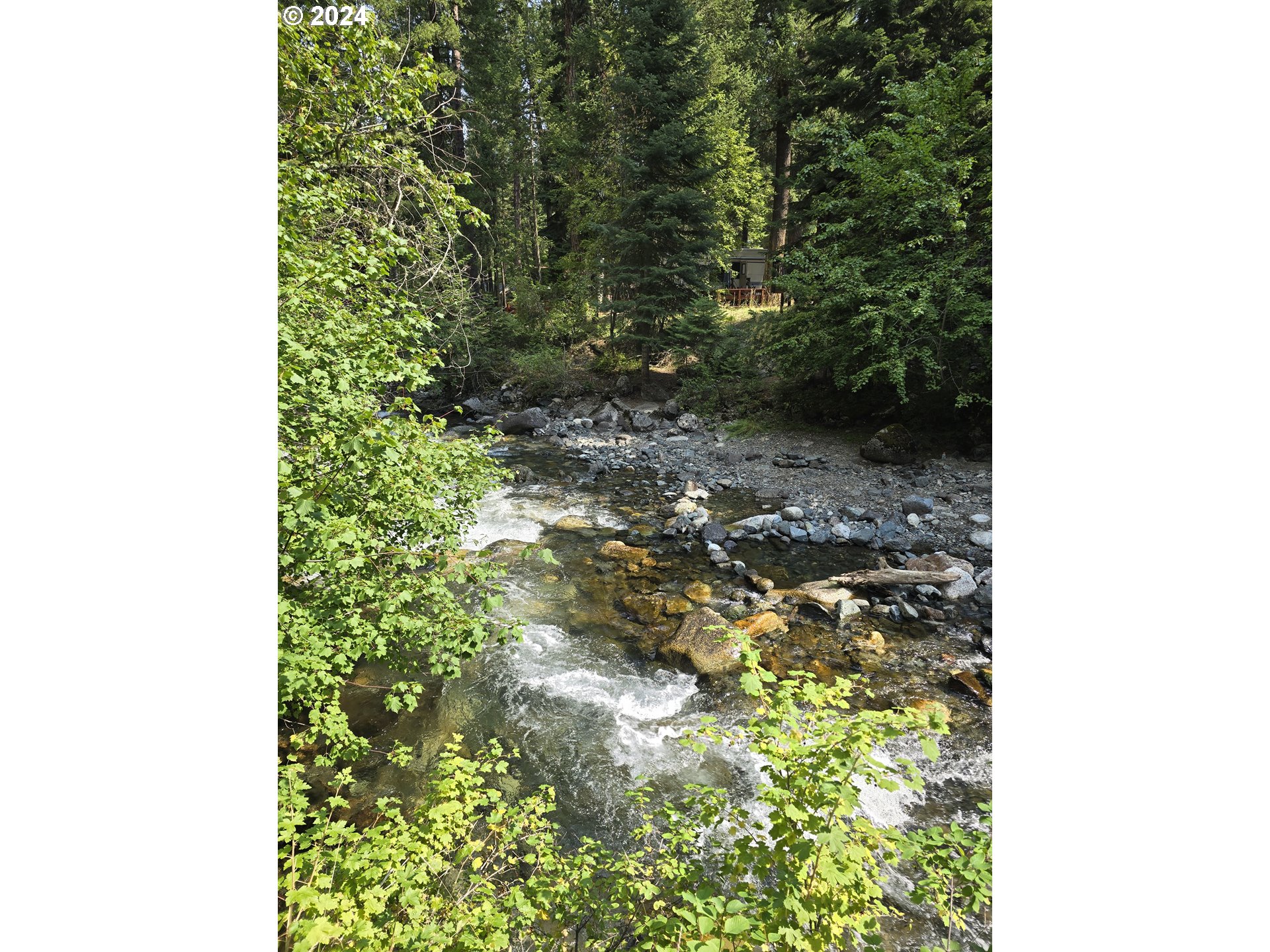 59975 Pollock Road Joseph, OR 97846 - Photo 22 of 34 a picture of a tree