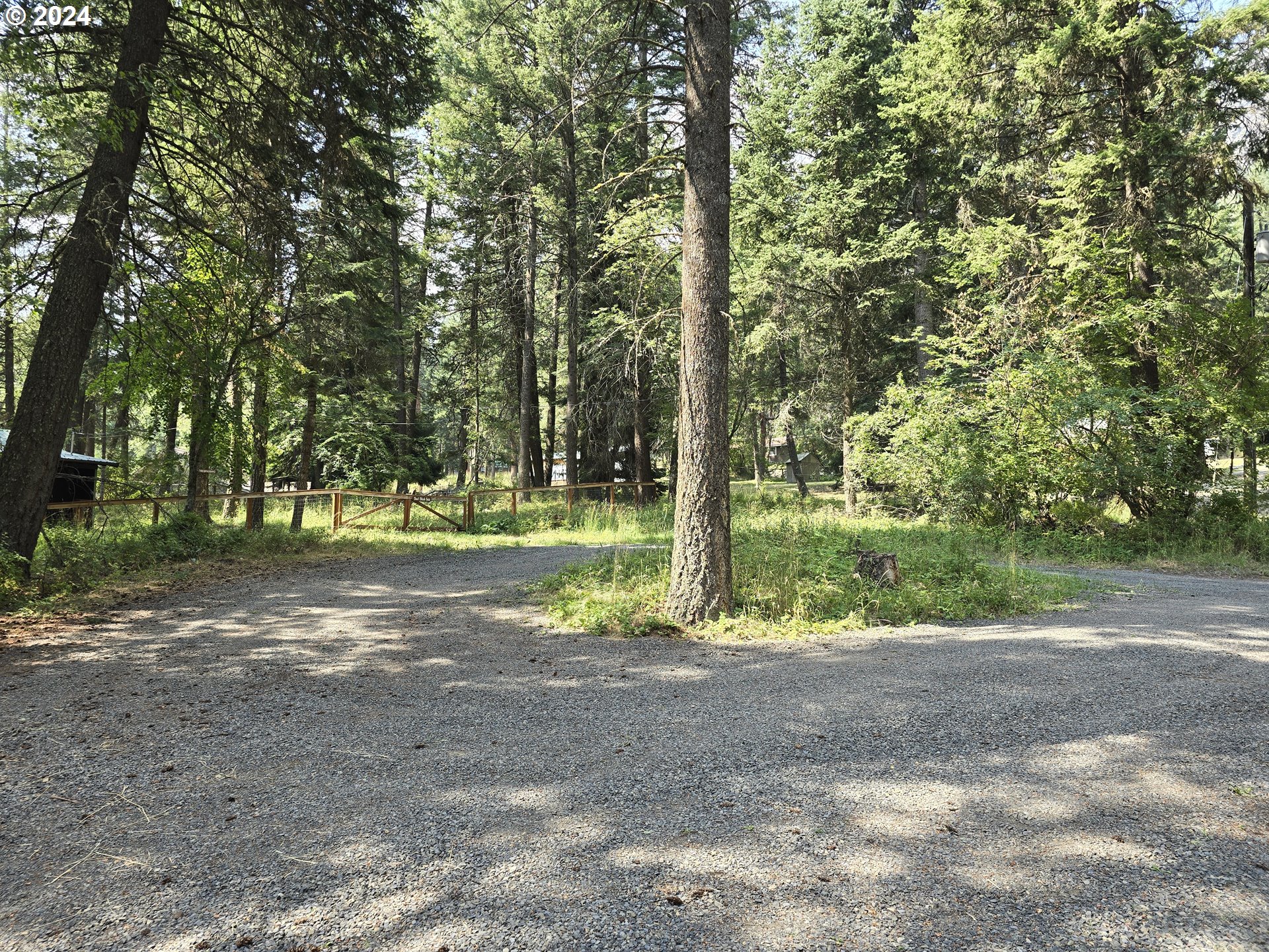 59975 Pollock Road Joseph, OR 97846 - Photo 26 of 34 a view of a tree in the middle of a yard