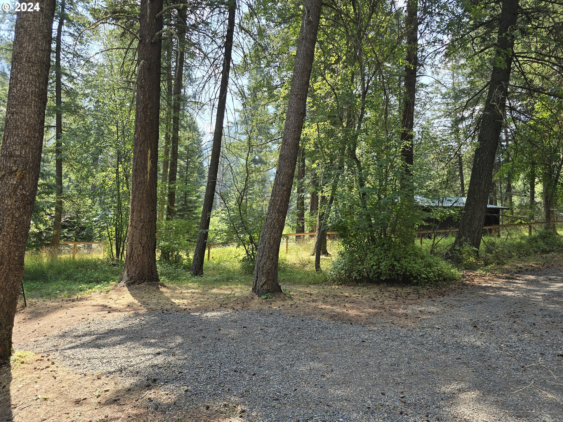 59975 Pollock Road Joseph, OR 97846 - Photo 27 of 34 a view of outdoor space and trees