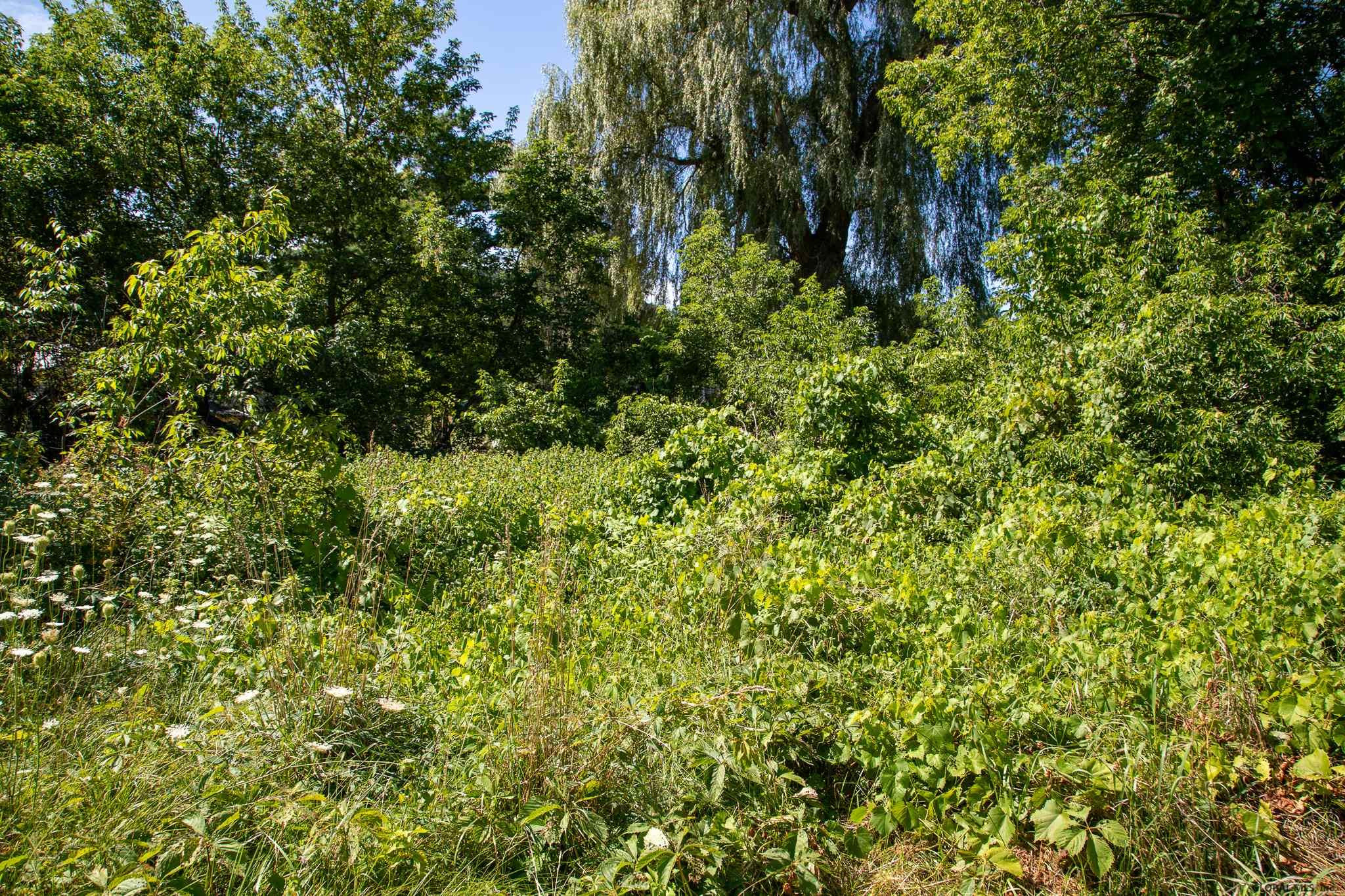 115 Sidney Road Howes Cave, NY 12092 - Photo 18 of 21 Photo 18
