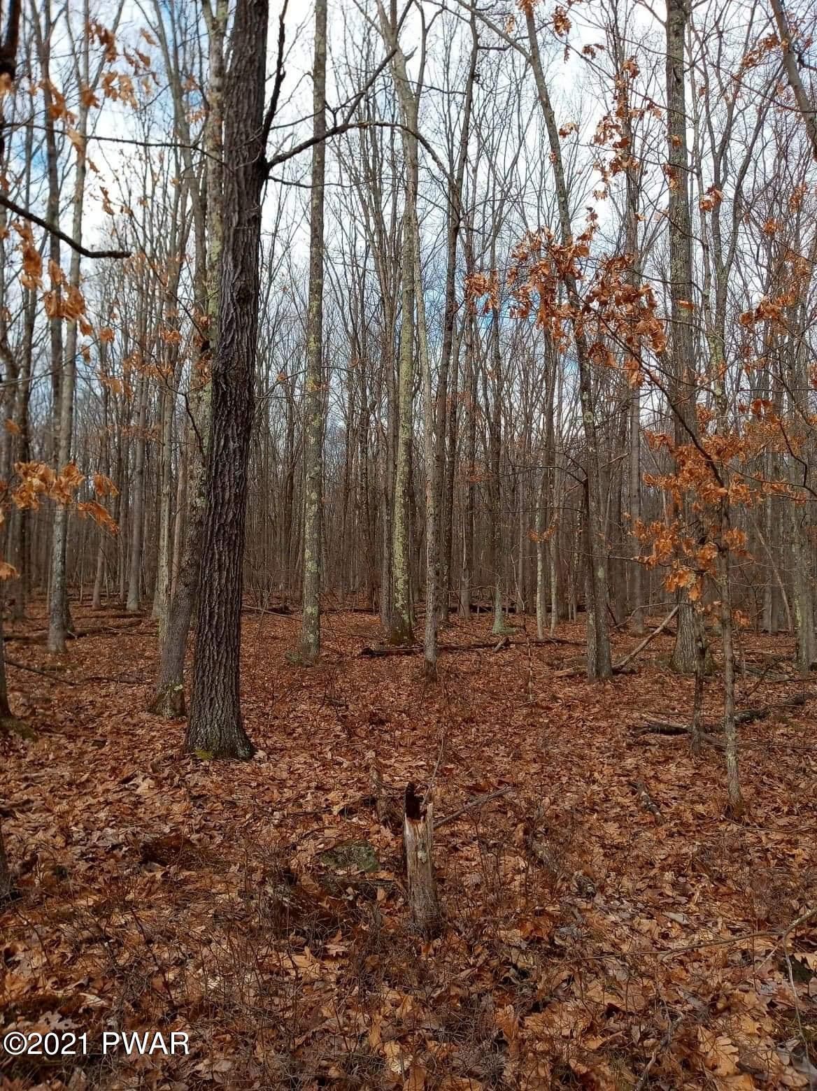 Boneridge Road Hawley, PA 18428 - Photo 10 of 15