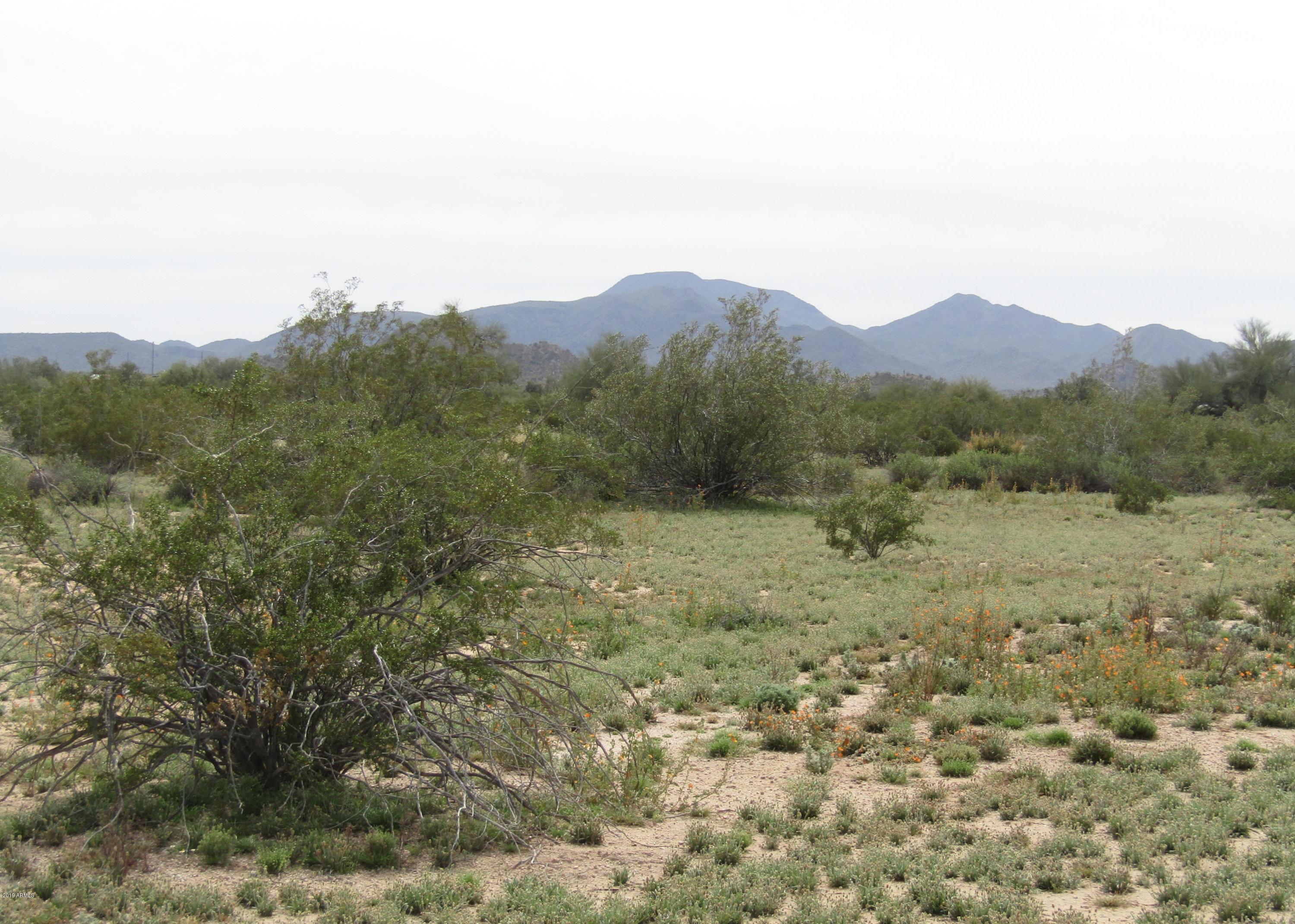 49106 West Century Road Maricopa, AZ 85139 - Photo 8 of 9 49106 W Century Rd