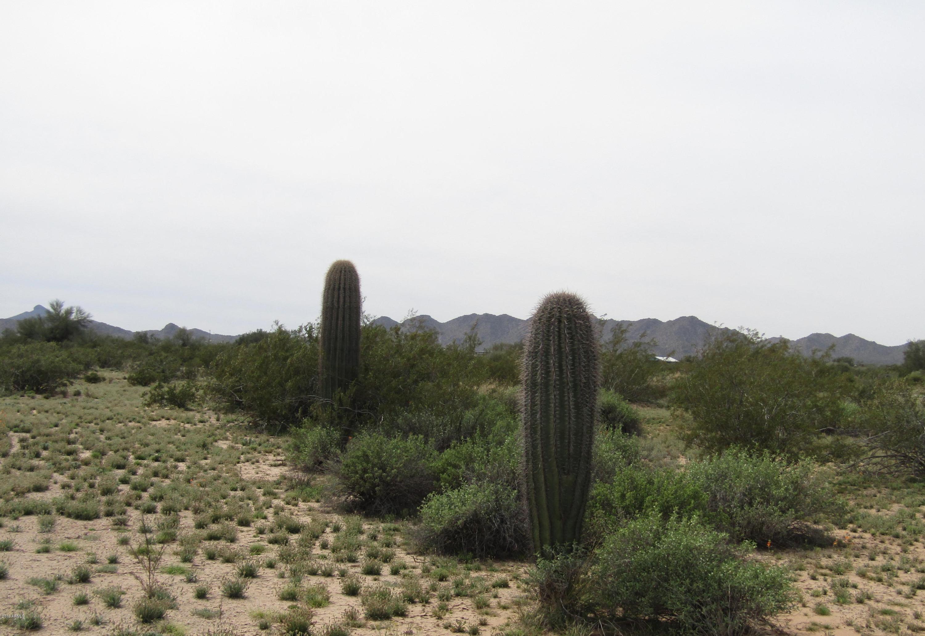 49106 West Century Road Maricopa, AZ 85139 - Photo 9 of 9 49106 W Century Rd