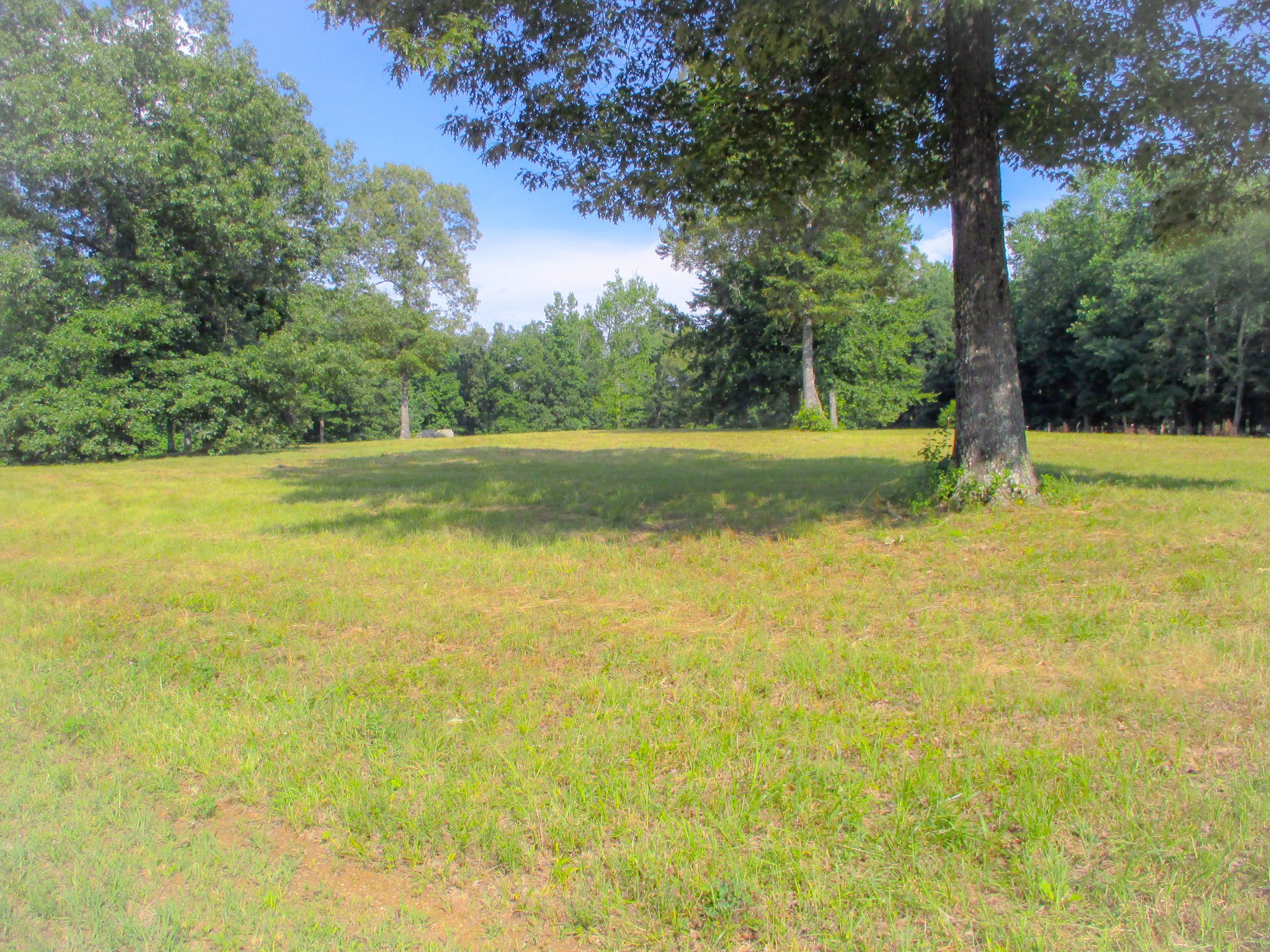 0 Spring Meadows Lane Morrison, TN 37357 - Photo 2 of 10