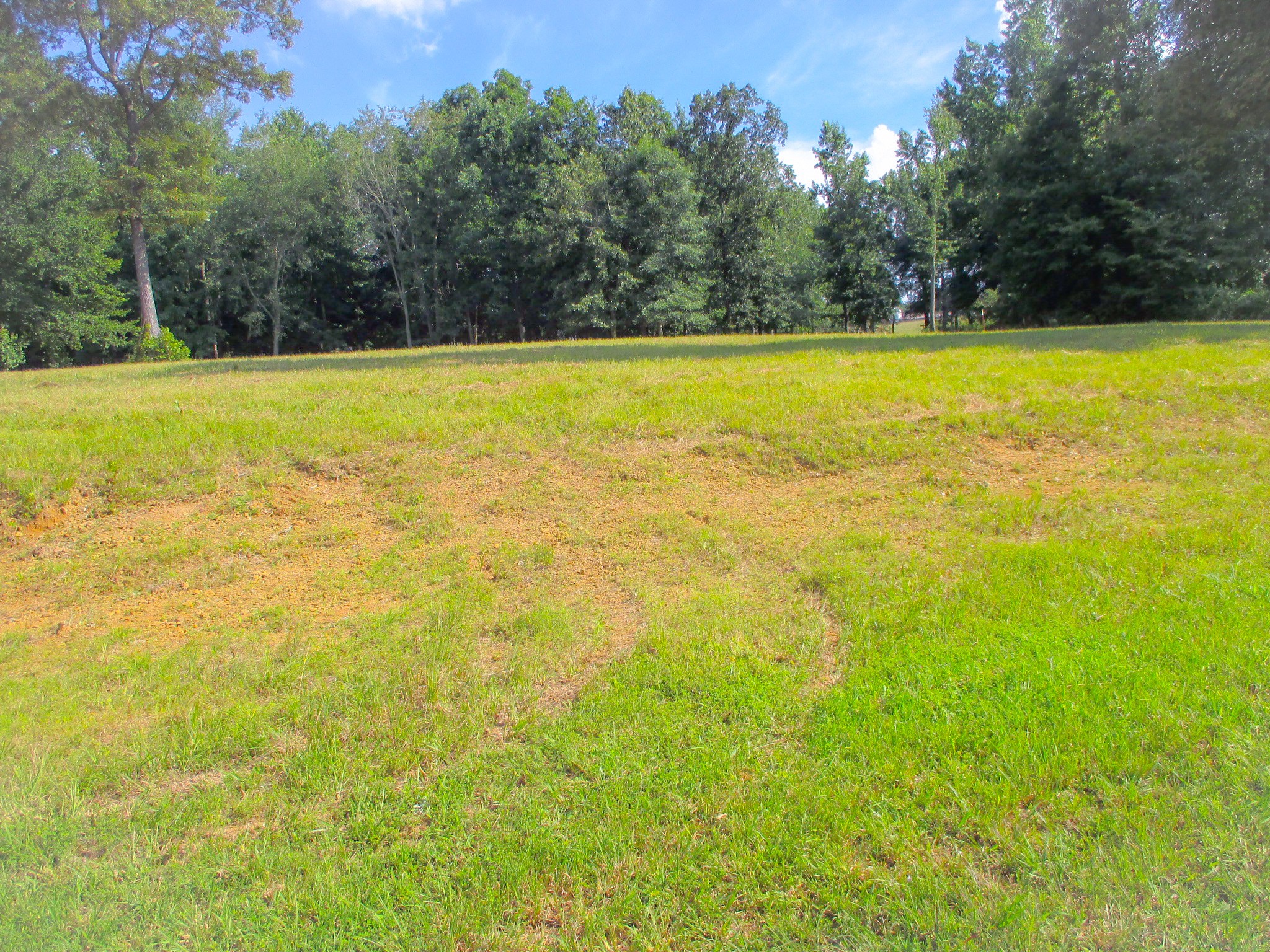 0 Spring Meadows Lane Morrison, TN 37357 - Photo 3 of 10 a view of a large swimming pool and an outdoor space
