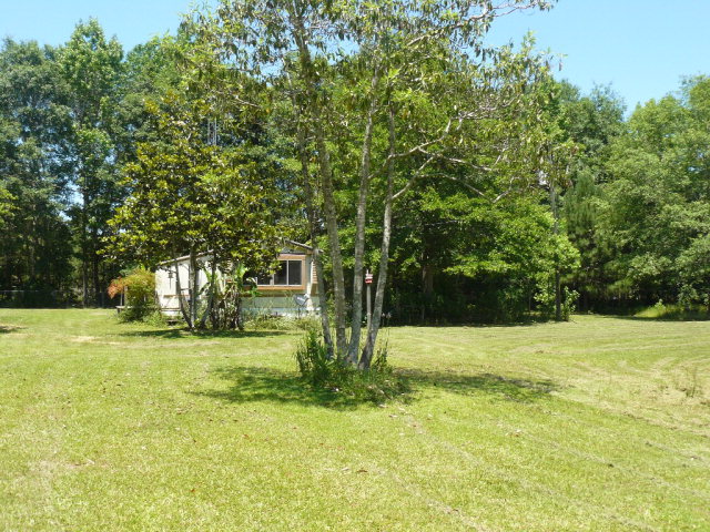 301 New Hope Road Slocomb, AL 36375 - Photo 1 of 1 Main View