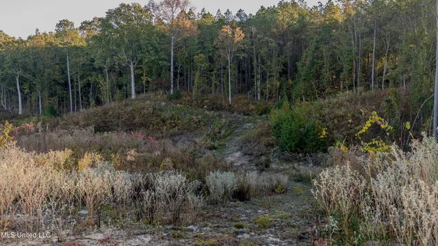 $142,350 | Ms-440, West, MS 39192