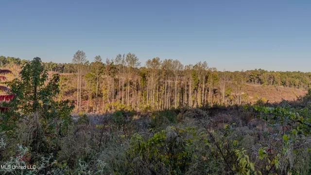 $142,350 | Ms-440, West, MS 39192