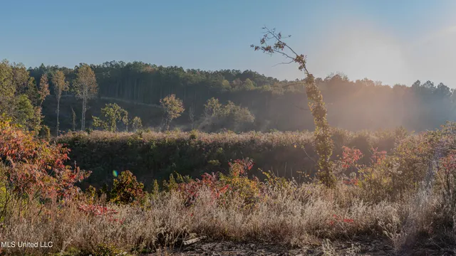 $142,350 | Ms-440, West, MS 39192