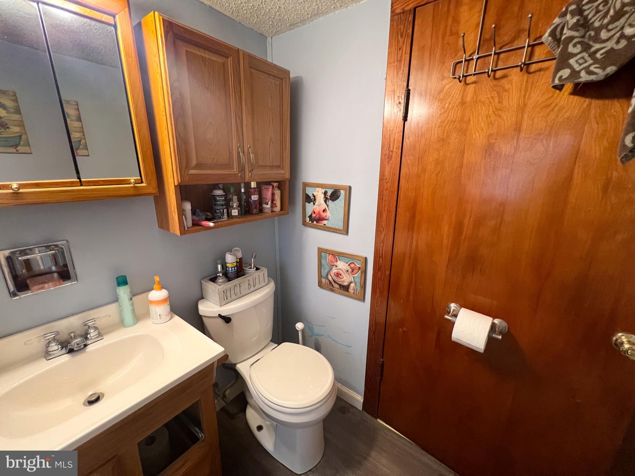 186 West Railroad Street Reedsville, PA 17084 - Photo 8 of 28 a bathroom with a sink and a toilet