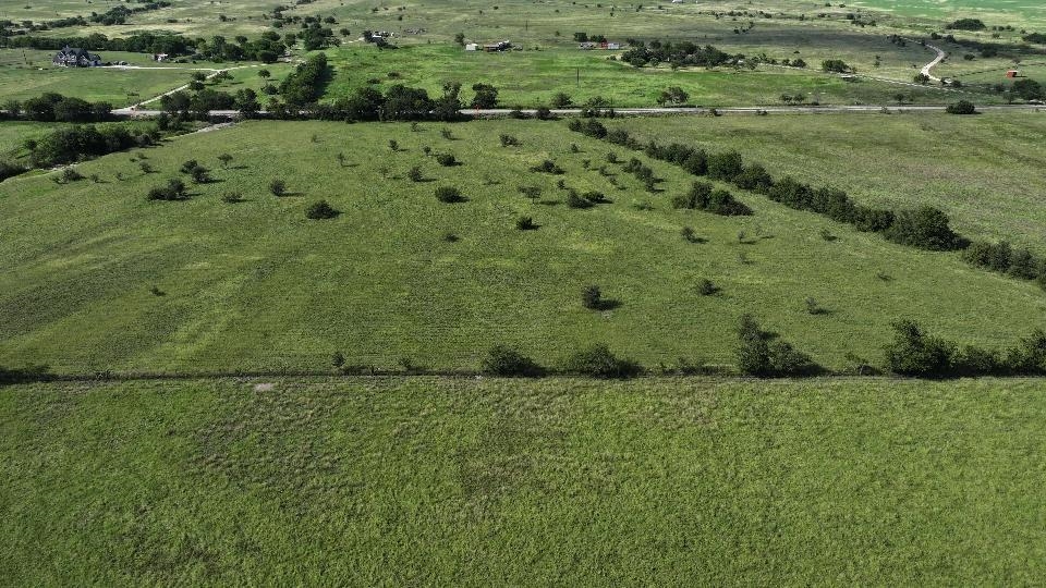 3 Hackberry Road Salado, TX 76571 - Photo 15 of 20 a view of a green field with lots of green plants