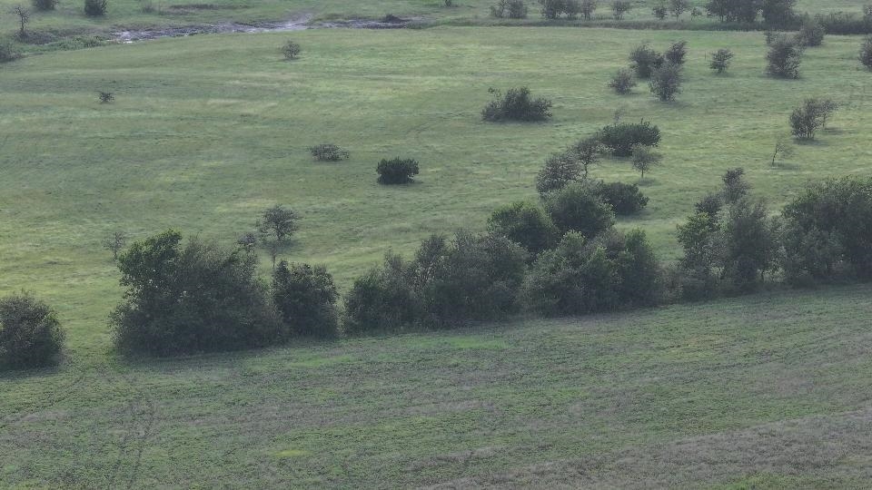 3 Hackberry Road Salado, TX 76571 - Photo 16 of 20 a view of a lake view