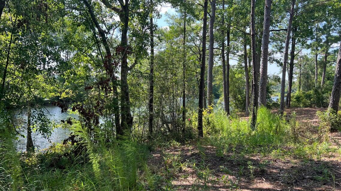 Lot 1 Marsh Landing Freeport, FL 32439 - Photo 15 of 25 a view of forest