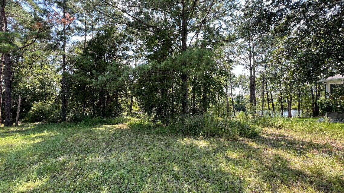 Lot 1 Marsh Landing Freeport, FL 32439 - Photo 17 of 25 a view of outdoor space with trees all around