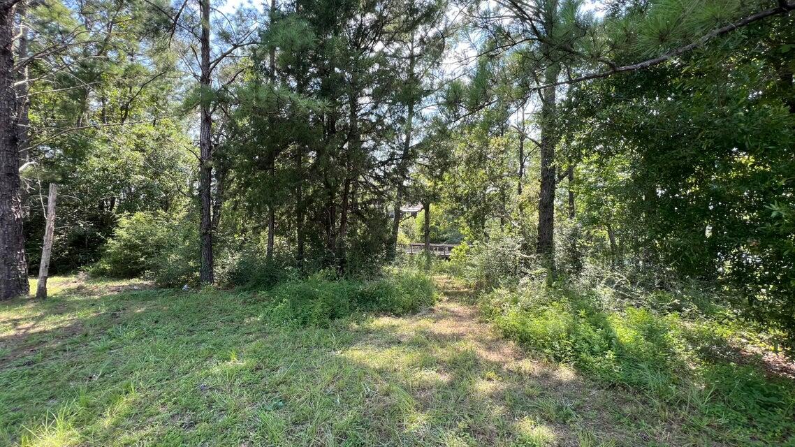 Lot 1 Marsh Landing Freeport, FL 32439 - Photo 18 of 25 a big yard with lots of green space and trees